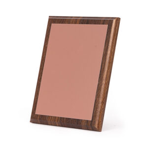 Placa galvano encobrizada modelo STUDIO con base de madera para reconocimiento corporativo.