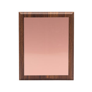 Placa galvano encobrizada modelo STUDIO con base de madera para reconocimiento corporativo. Trofeo vertical