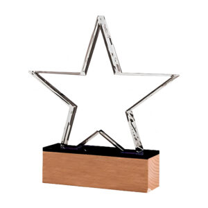 Galvano de cristal con base de madera para reconocimiento empresarial.